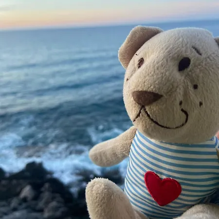 Terrazza Roberto Διαμέρισμα *